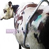 لگد گیر دام لگد گیر دام